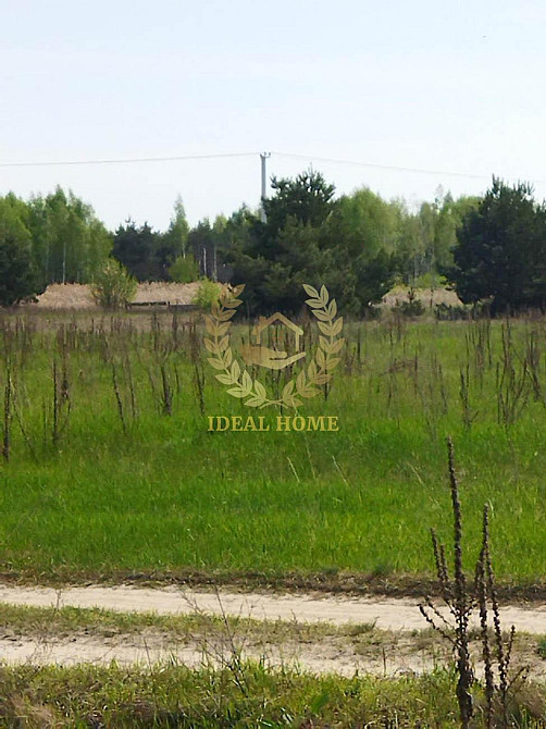 Продаж земельної ділянки 24.99 соток  - фото 4