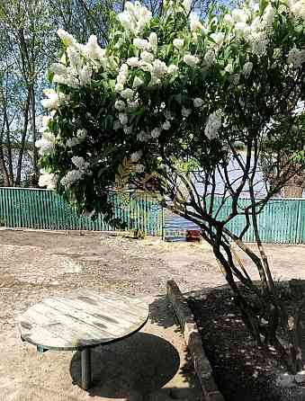 Продаж Будинок 4-кімнатний на Новоселка ул., 3 