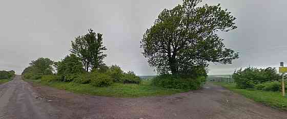 Продаж земельної ділянки 1 га Sadky