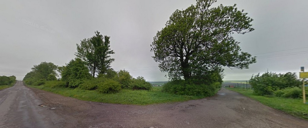 Продаж земельної ділянки 1 га Sadky - photo 5