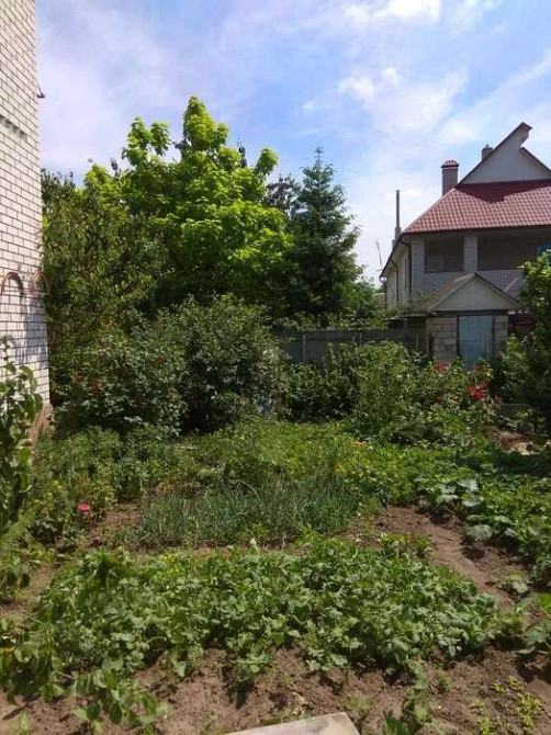 Оренда Квартира 1-кімнатна на Добробутная, 3 Київ - фото 4