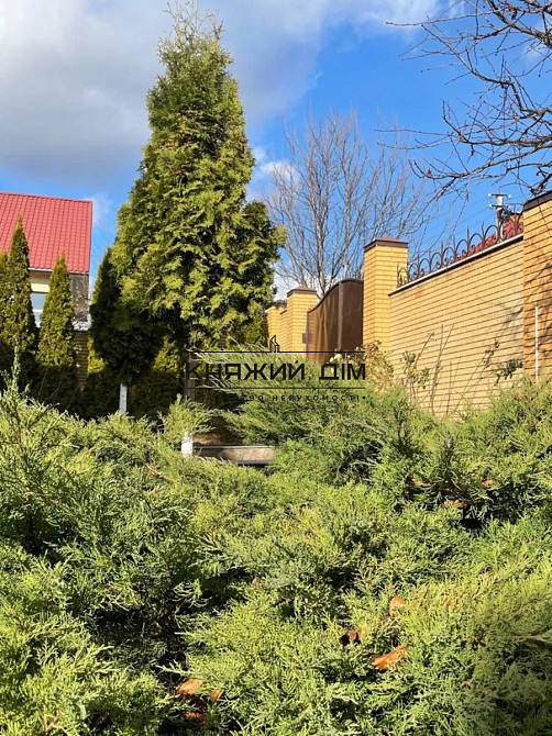 Продається будинок 270 кв.м в с.Музичі № 2211747 Музичі - фото 6