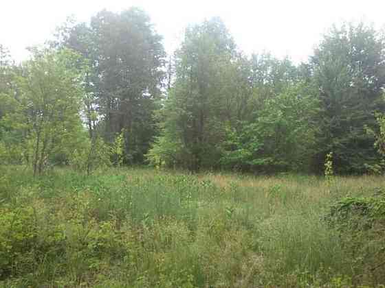 Продаж земельної ділянки 12 соток Вороньківка