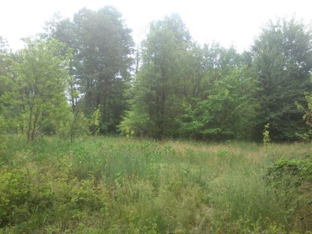 Продаж земельної ділянки 12 соток Вороньківка - фото 5