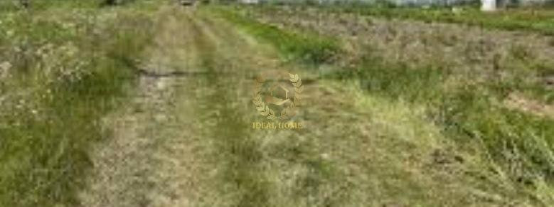 Продаж земельної ділянки 11 соток на Молодежная ул. Kalynivka (Poliskyi raion) - photo 4