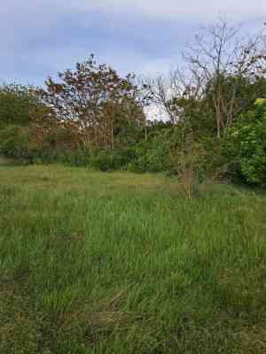 Продаж земельної ділянки 0.5 соток на ул. Черноморцев, 55а Сухий Лиман