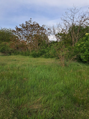 Продаж земельної ділянки 0.5 соток на ул. Черноморцев, 55а Сухий Лиман - изображение 1