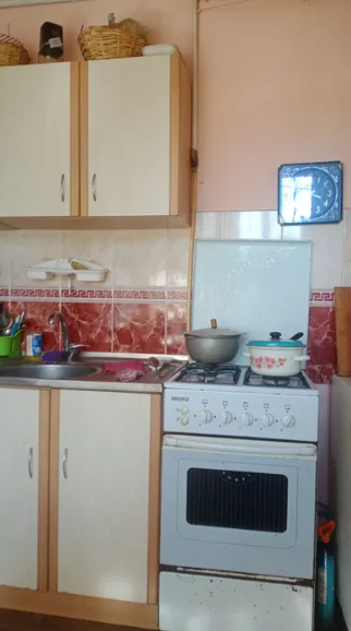 Продам дом с газом в с.Александровка (Лиманский р-н, 5 км от Одессы) Dobrooleksandrivka - photo 2