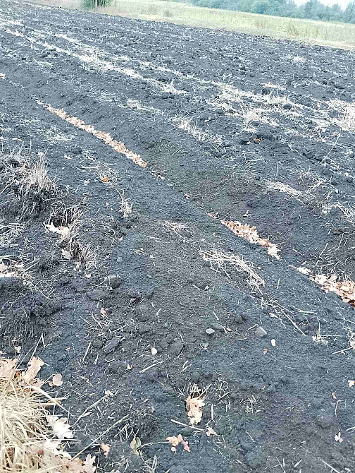 Продаж Будинок Ostapkivtsi - photo 8