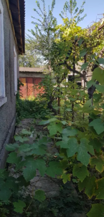 Продам дом в с.Новые Биляры (Лиманский р-н, 15 км от Одессы) Нові Білярі