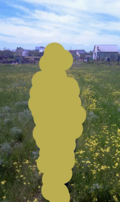 Продаж земельної ділянки 0.1 соток на ул. Дачная, 107 Фонтанка - изображение 13