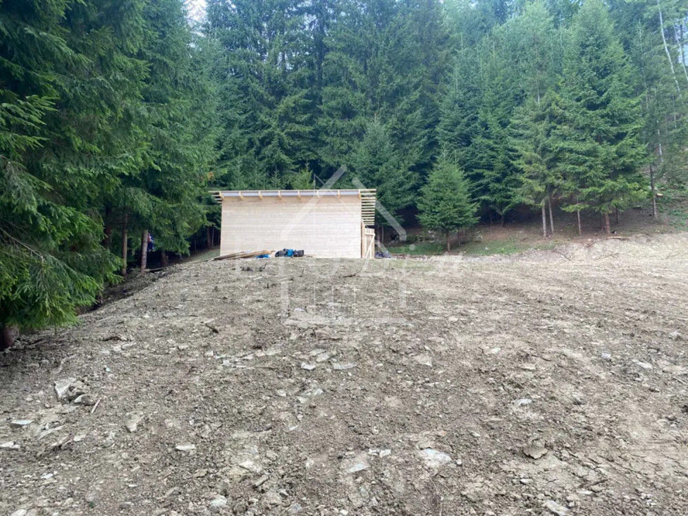 Продаж земельної ділянки 80 соток на Довга Верхній Ясенів - фото 8