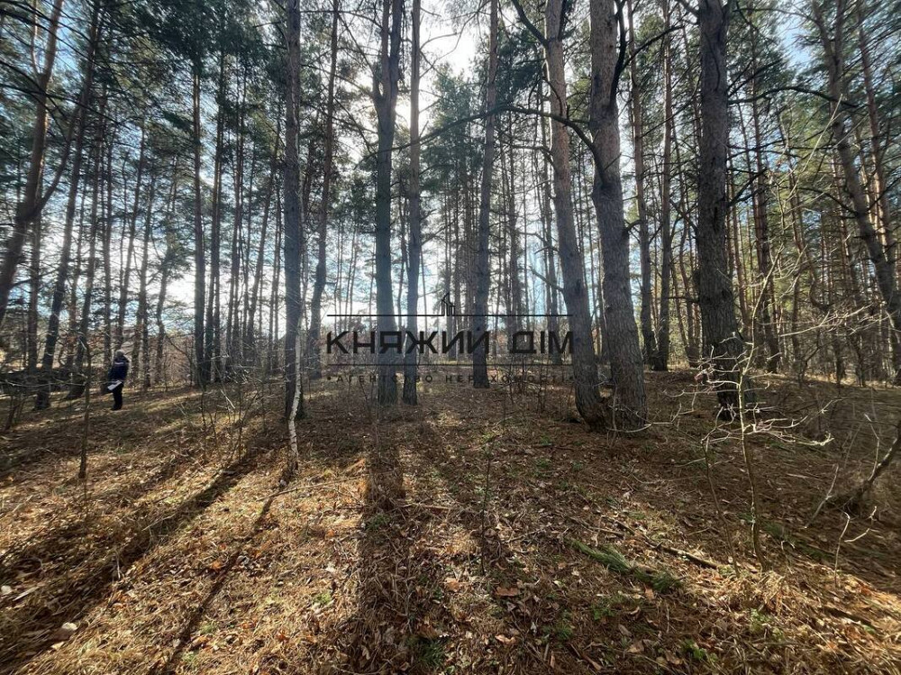 Продаж земельної ділянки 14 соток на вул. Котляревського Hlevakha - photo 5