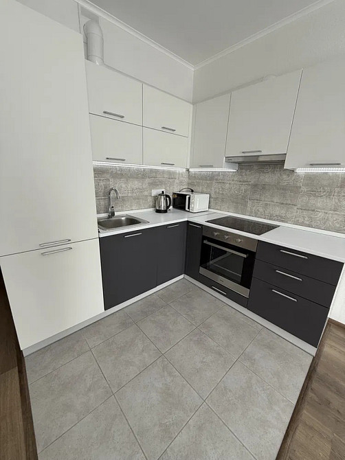 Оренда Квартира 1-кімнатна, 19/25 поверх на Олени Пчілки, 7 Київ - фото 1