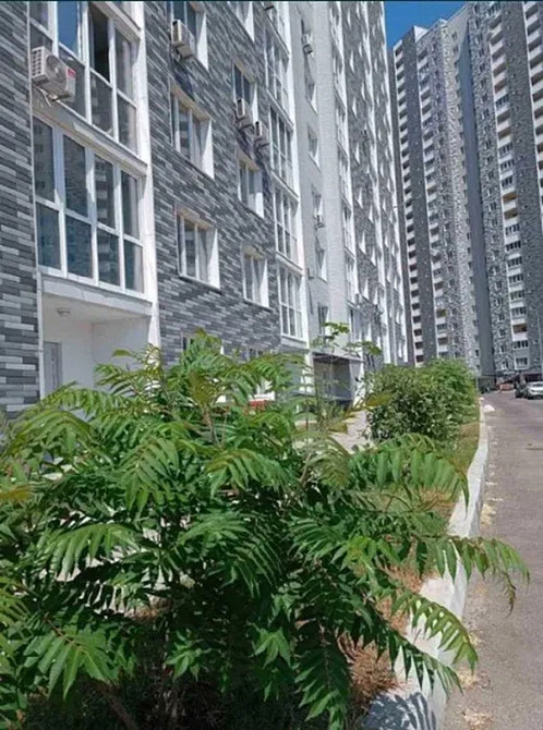 Продаж Квартира 2-кімнатна, 15/25 поверх на Ревуцького, 54А Киев - изображение 2