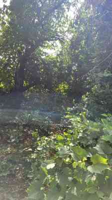 Продаж земельної ділянки 0 соток на ул. Марии Демченко 3-я линия, 49 Одеса