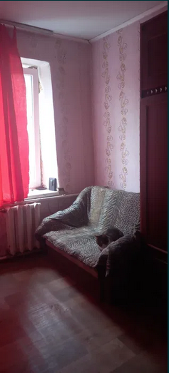 Продам дом у моря в Лесках Ліски (Комінтернівський район) - фото 4