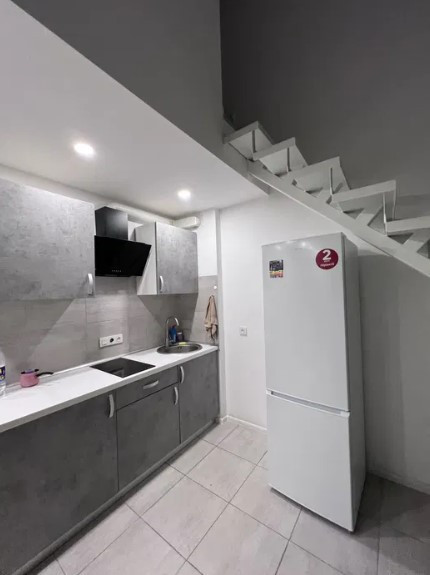 Продам двухуровневую квартиру на пос. Котовского Крижановка (Коминтернивський район) - изображение 2