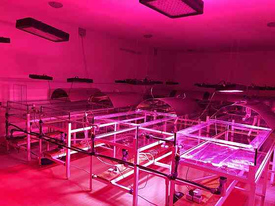 Продаж комерційне приміщення на ул. Хуторская, 3 приміщень - 4, поверх - 1 Мирне (Біляївський район)