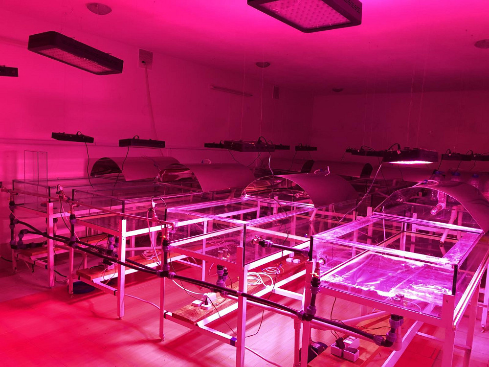 Продаж комерційне приміщення на ул. Хуторская, 3 приміщень - 4, поверх - 1 Мирне (Біляївський район) - фото 2