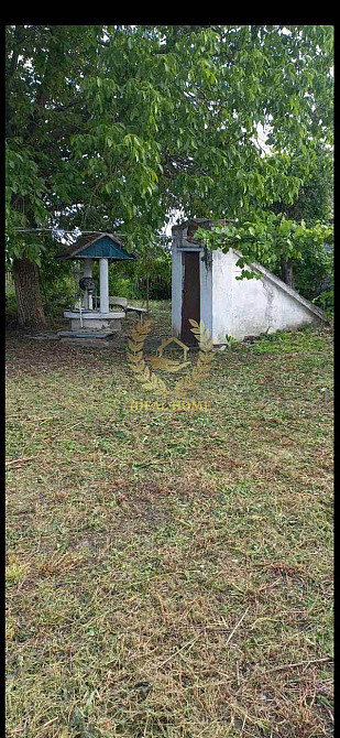 Продається будинок у тихому спокійному місці Гайок (Білоцерківський район) - фото 4