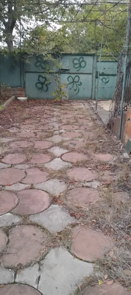 Продам дачу на берегу Аджалыкского лимана (Новодофиновский кооператив) Нова Дофінівка - фото 8