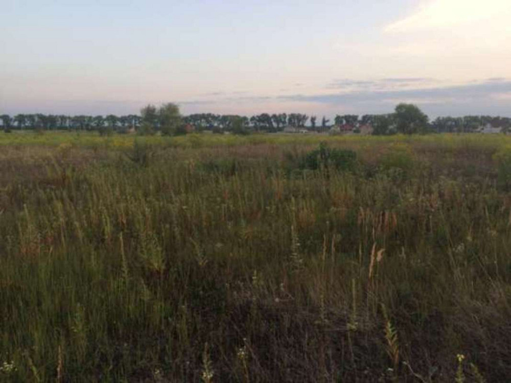 Продаж земельної ділянки 10 соток Борисполь - изображение 2