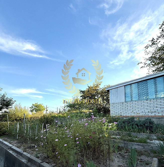 Продам дачный дом Ходосівка, Грушева вул. Ходосовка - изображение 8