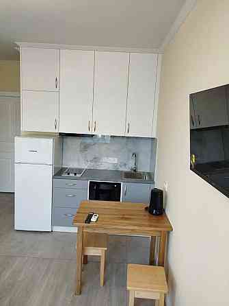 Оренда Квартира 1-кімнатна, 4/21 поверх на вул. Братів Чибінєєвих, 8А Киев