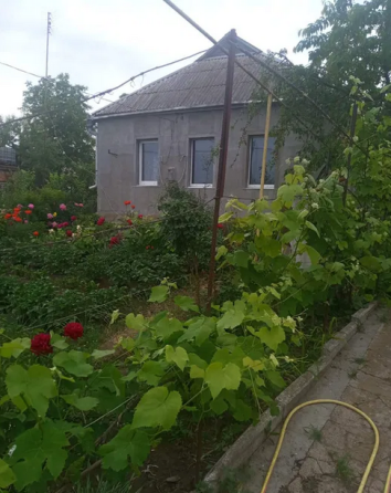 Продам будиночок. Кропивницький