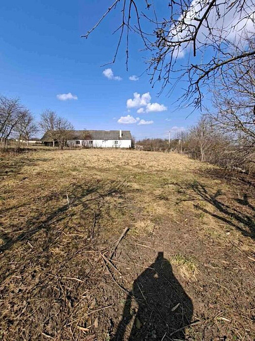 Продаж Будинок Велика Березовиця - фото 11