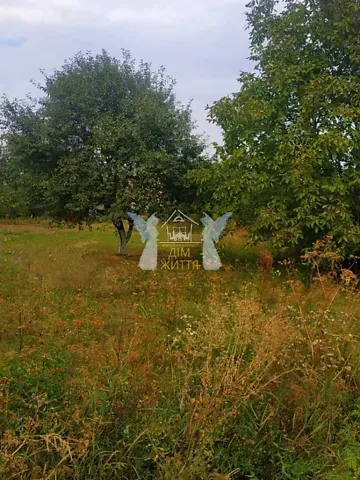 Продаж земельної ділянки  площа 10 сот Козацька вулиця Велика Березовиця - фото 3