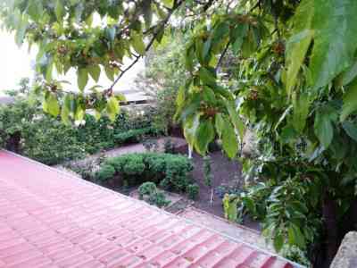 Продаж земельної ділянки 0.1 соток на переулок Ванный, 8/5 Одеса