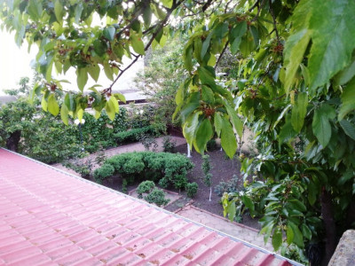 Продаж земельної ділянки 0.1 соток на переулок Ванный, 8/5 Одеса - фото 5