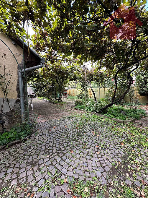 Просторий цегляний будинок можна і під комерцію! Дом - кафе! Uzhhorod - photo 8