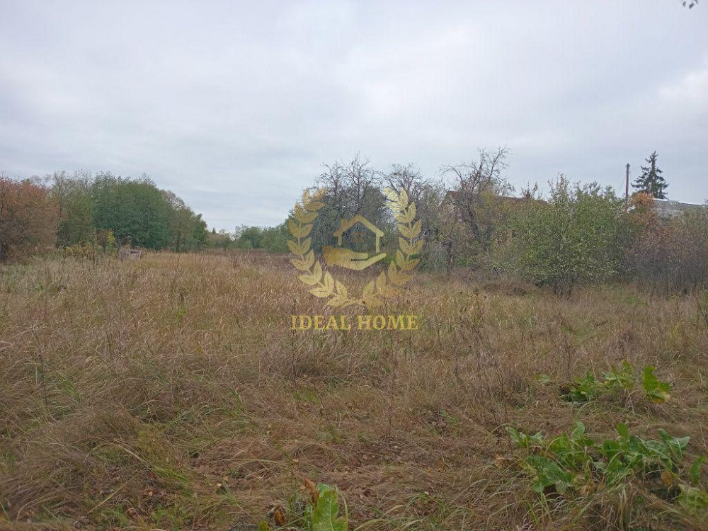 Продам будинок з великою земельною ділянкою в с.Заруддя  - фото 10