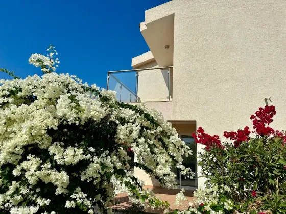 Будинок за кордоном 400 кв.м 3 кімн. 1-й поверх м. Пафос, Кіпр на Пея Пафос