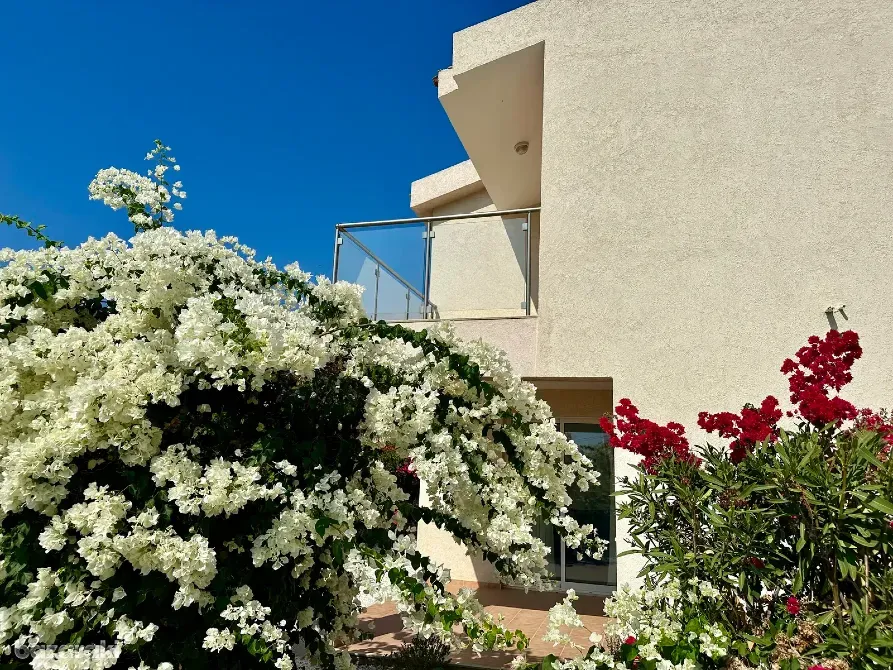 Будинок за кордоном 400 кв.м 3 кімн. 1-й поверх м. Пафос, Кіпр на Пея Пафос - фото 2