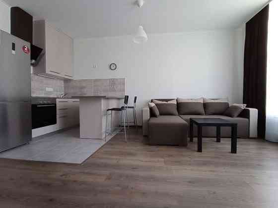 Оренда Квартира 1-кімнатна, 10/25 поверх на ул. Елены Пчилки, 5-а Київ