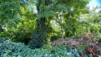 Продаж земельної ділянки 0.1 соток на ул. Цветочная, 29 Одеса - фото 7