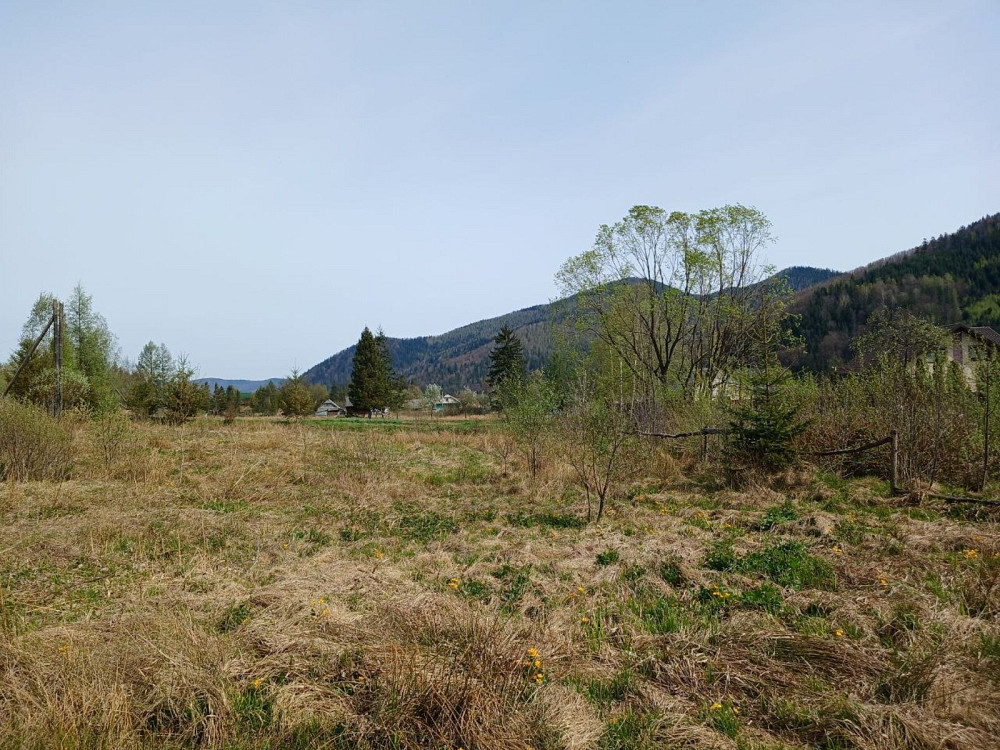 Продаж земельної ділянки 31 соток  - photo 6