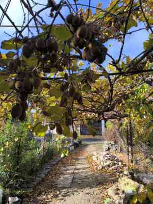 Продаж земельної ділянки 0.1 соток на ул. Абрикосовая, 37 Одеса