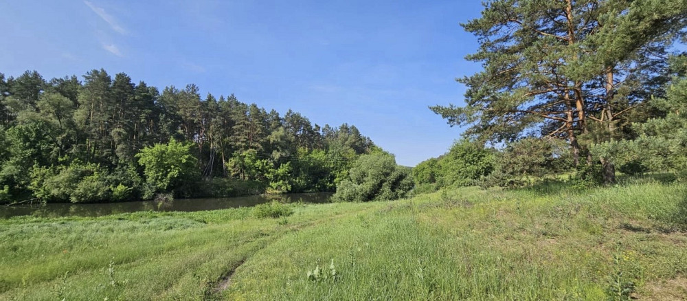 Продаж земельної ділянки 1.32 га на Левків Житомир - изображение 4