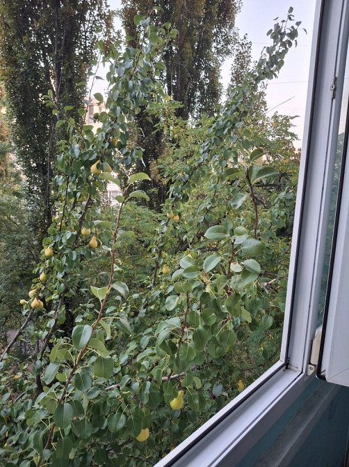 Продаж Квартира 2-кімнатна, 5/9 поверх на Берестейський просп. (Перемоги) вул., д. 21 Kiev - photo 3