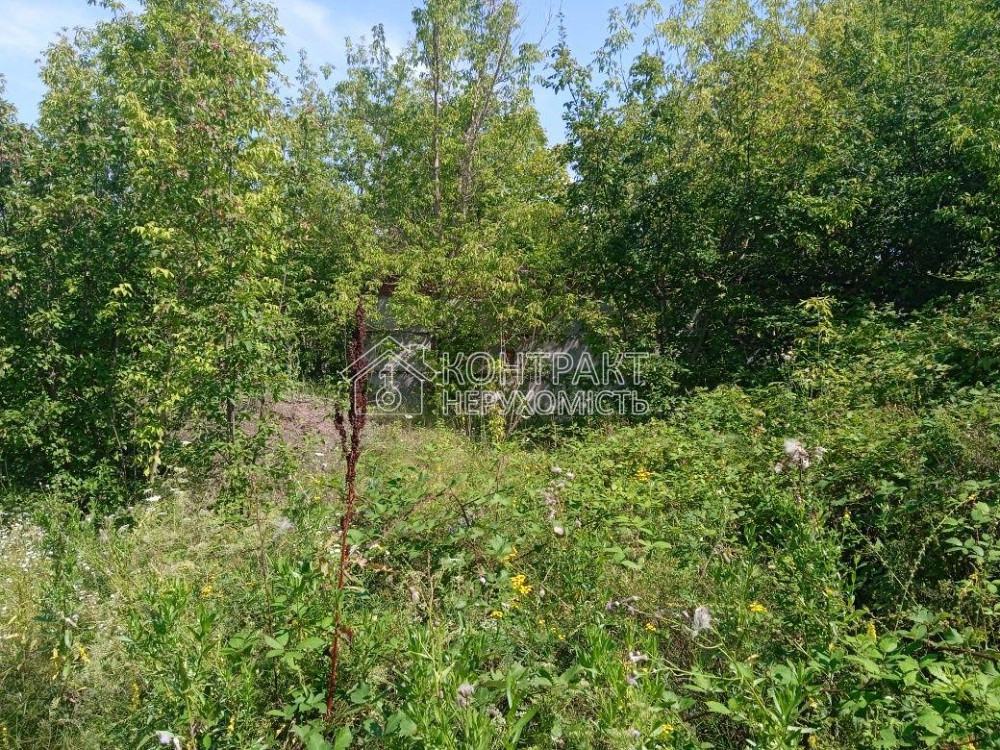 Продаж земельної ділянки 15 соток  - photo 1