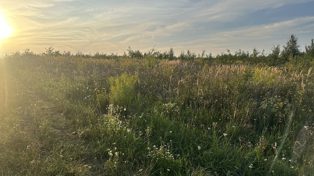 Продаж земельної ділянки 10 соток Baikivtsi - photo 9