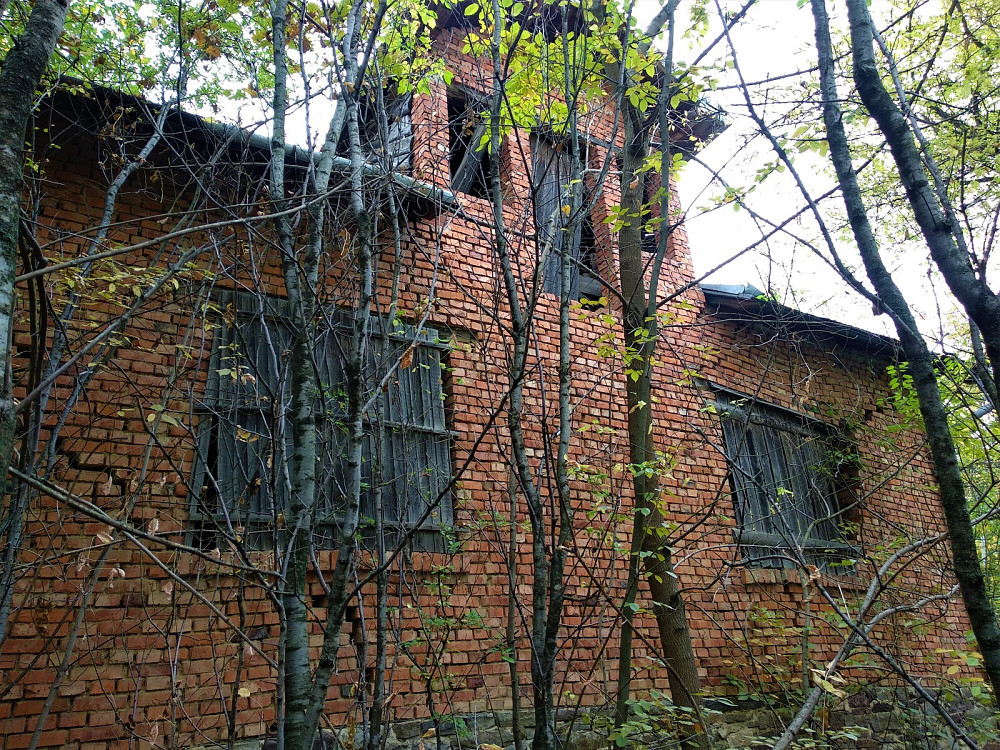 Продаж земельної ділянки 25 соток Олеша - фото 7