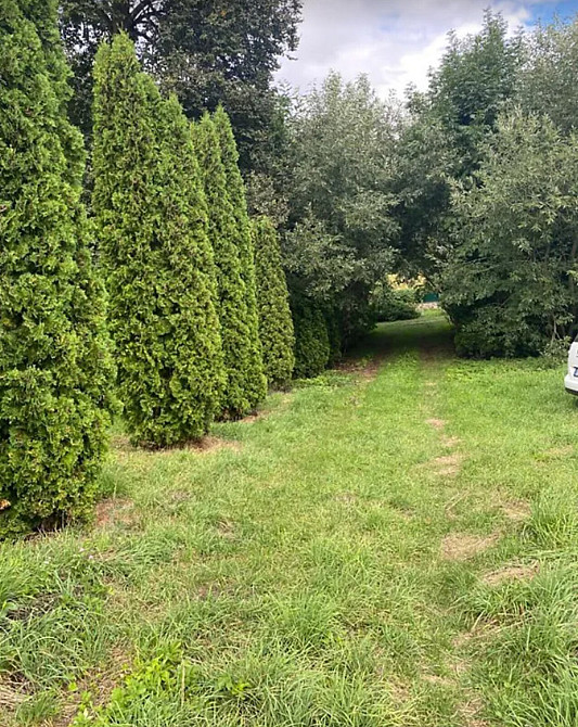 Продаж земельної ділянки 43 соток  - фото 1