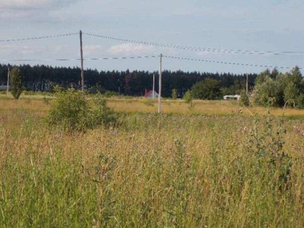 Продаж земельної ділянки 25 соток на Лесная Бориспіль - фото 1