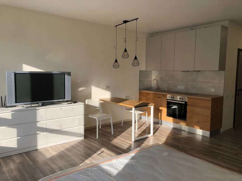 Оренда Квартира 1-кімнатна, 16/25 поверх на ул. Елены Пчилки, 7 Київ - фото 4